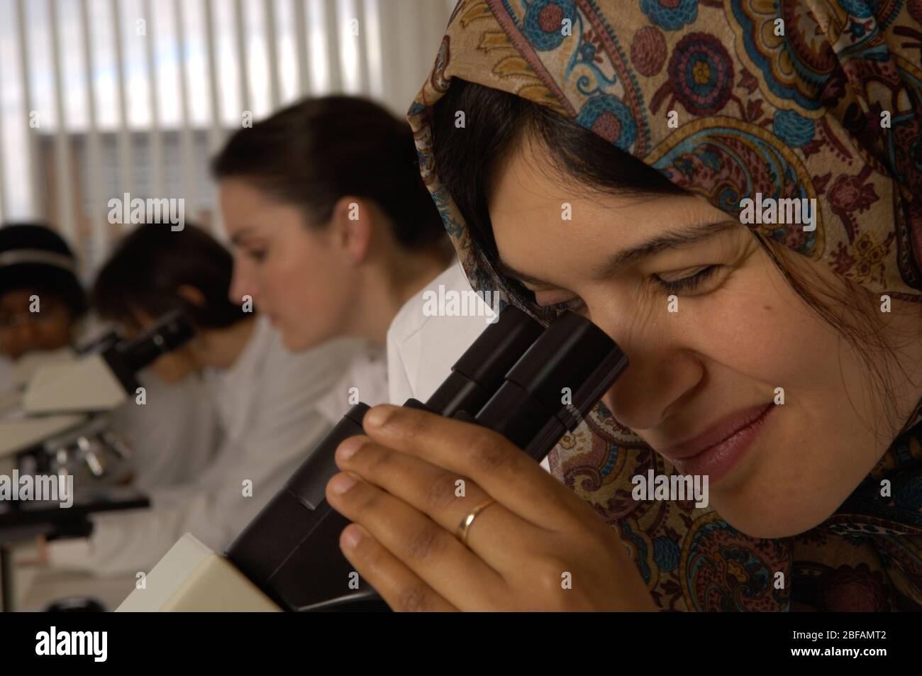 Students Looking Through Microscopes High Resolution Stock Photography ...