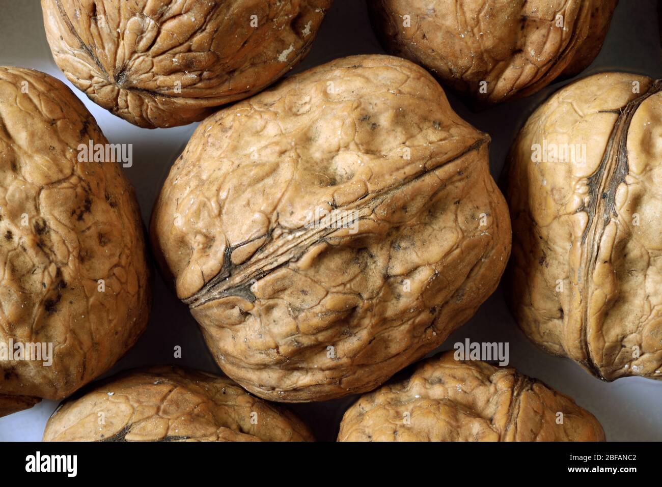 Walneut Walnut half closeup texture hi-res stock photography and images - Alamy