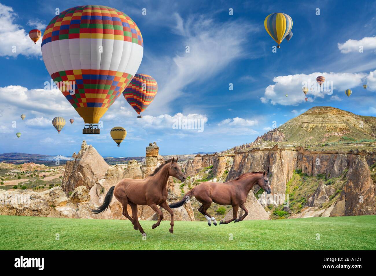 Hot air ballooning is most popular attraction in Kapadokya. Two horses running on green grass near mushroom mountains in Cappadocia, Turkey. Stock Photo