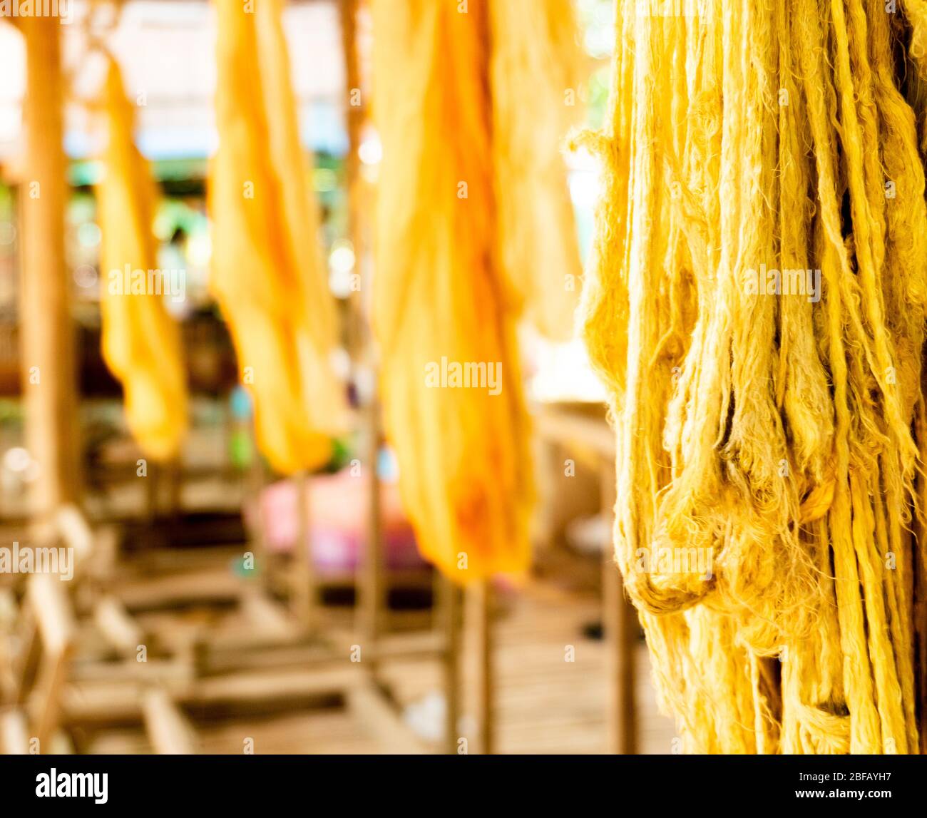Golden Silk in Silk Island, raw material for silk weaving in Cambodia Stock Photo