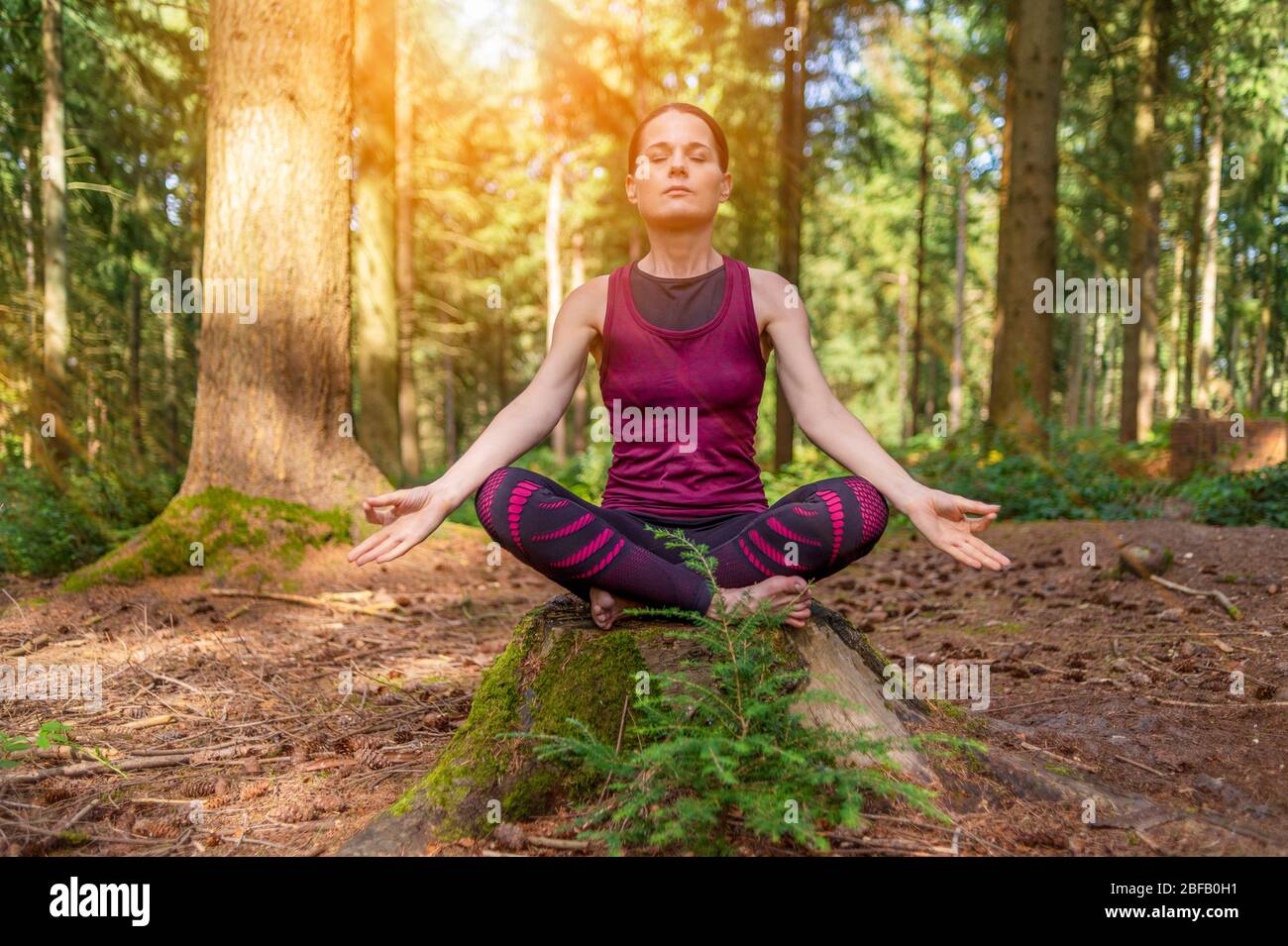 Woman meditating in woodland setting, morning yoga in the forest. Stock Photo