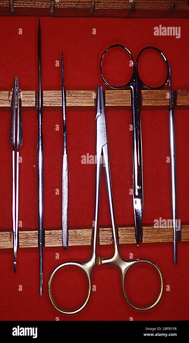 Surgical instruments in a storage box Stock Photo Alamy