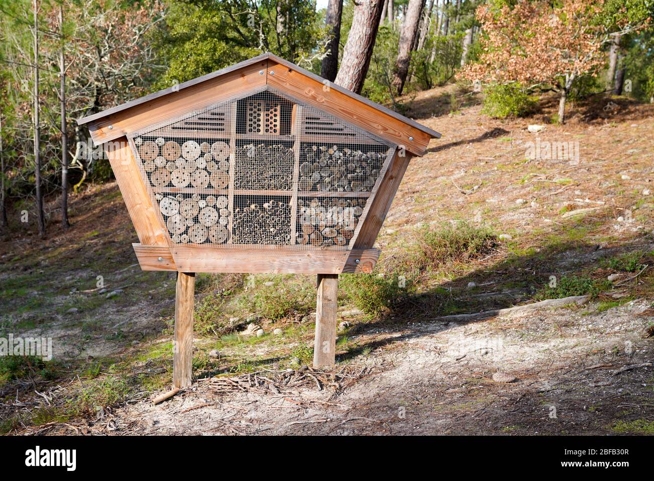 Wooden insect house decorative bug hotel ladybird bee home house garden