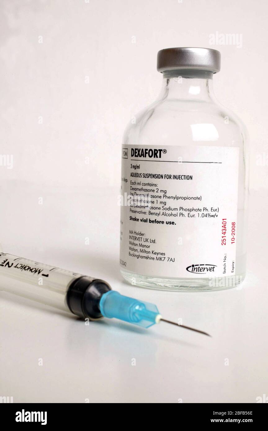 Dexafort aqueos suspension for injection Stock Photo Alamy