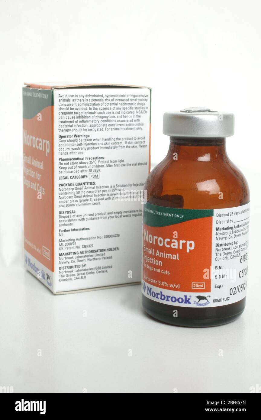 carprofen high