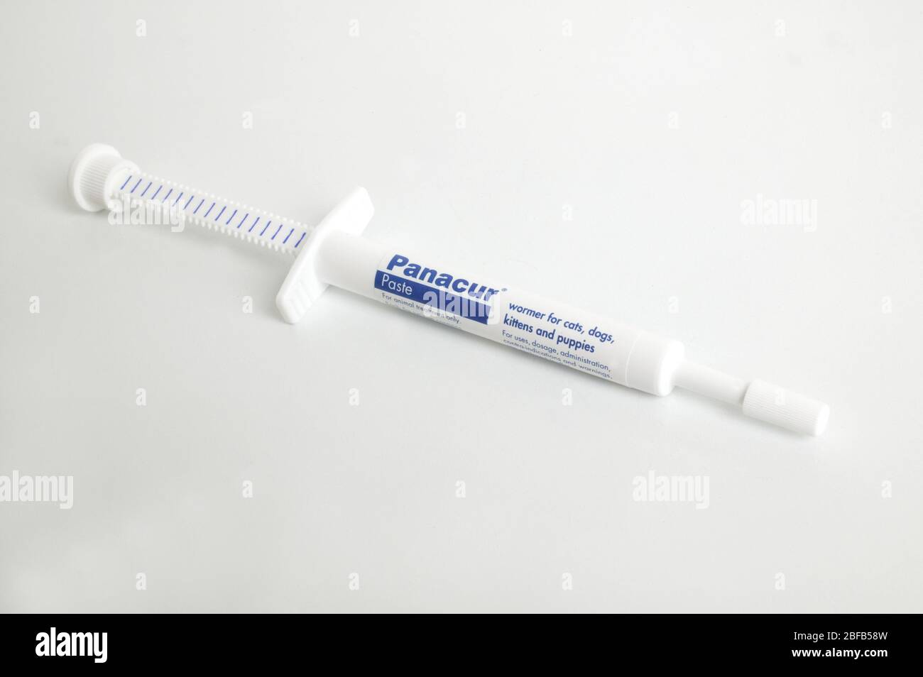 Panacur oral paste. A wormer for cats and dogs Stock Photo Alamy