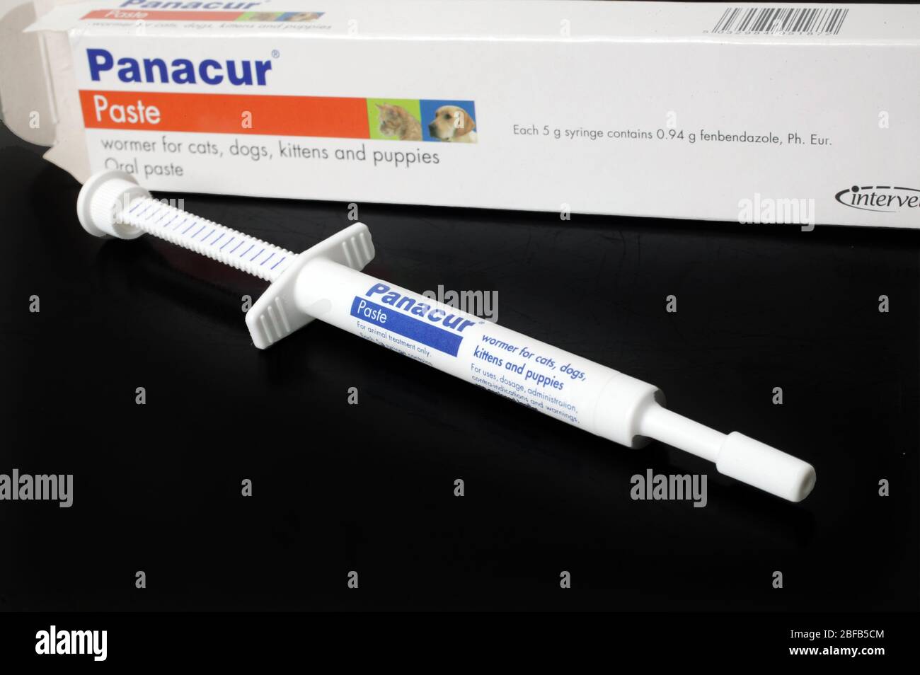 Panacur oral paste. A wormer for cats and dogs Stock Photo Alamy