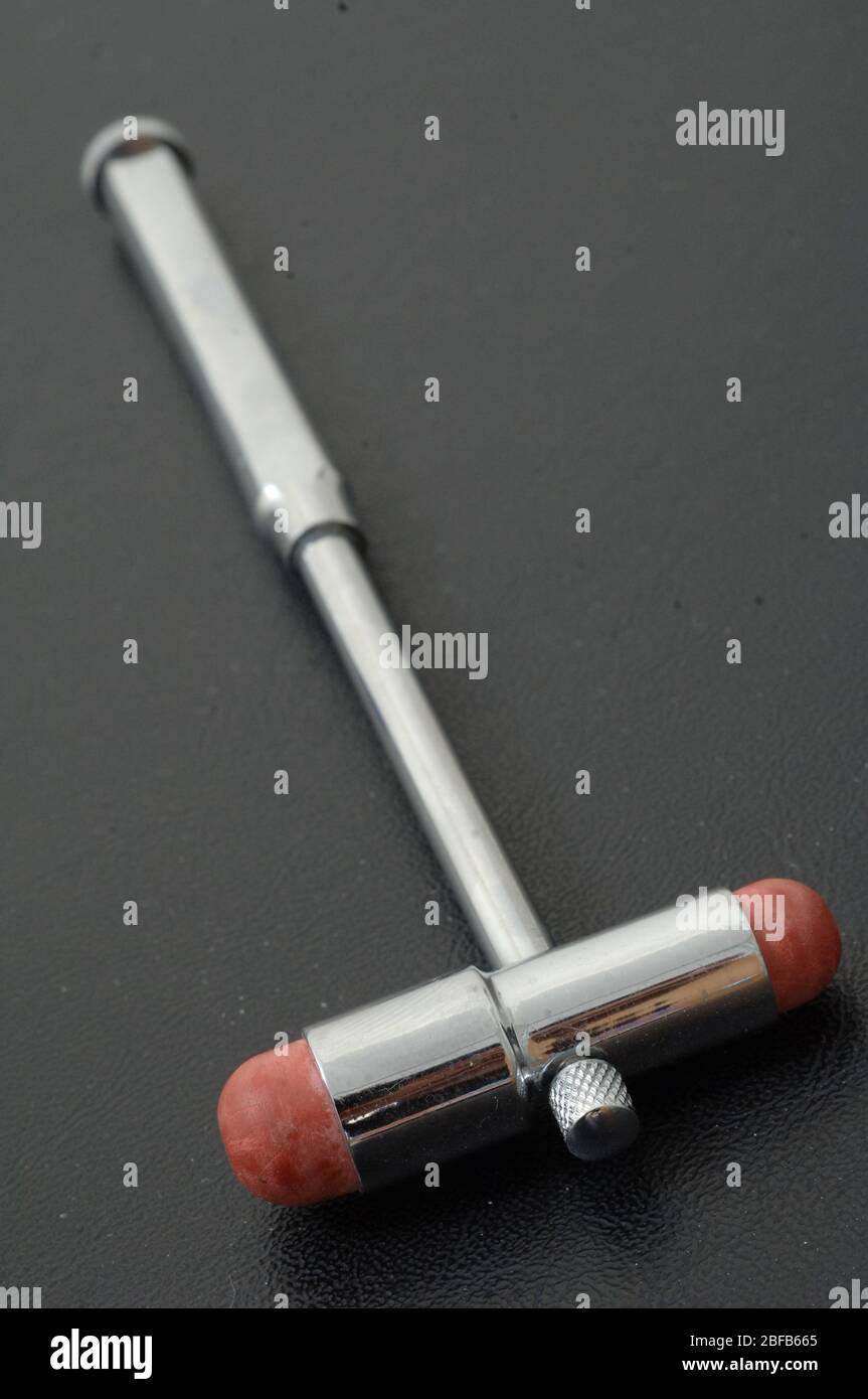 Close up of a Tendon Hammer Stock Photo Alamy