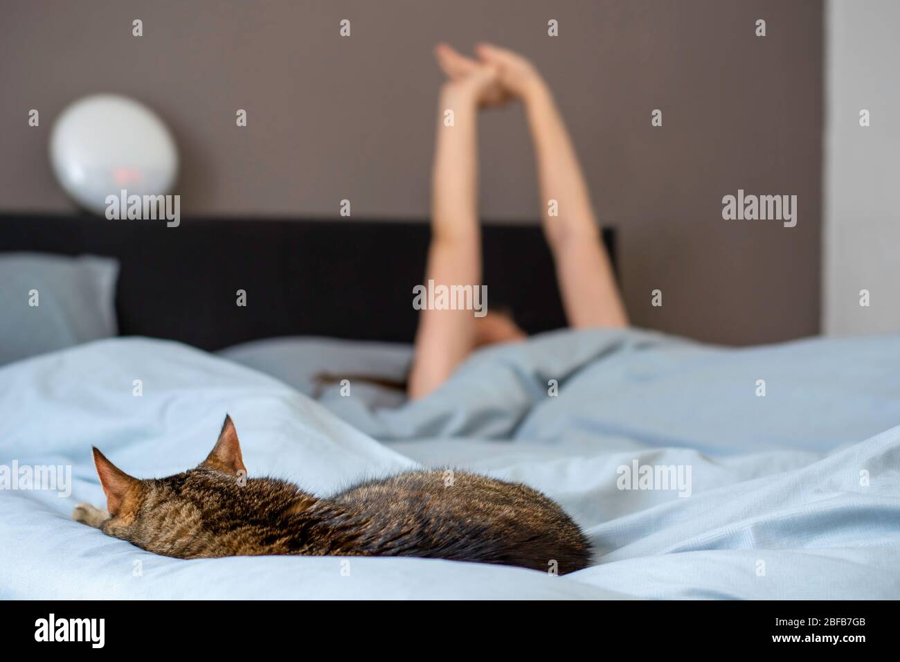 Woman sleeping in bed with her cat. Owner with her pet. Woman stretching. Stock Photo