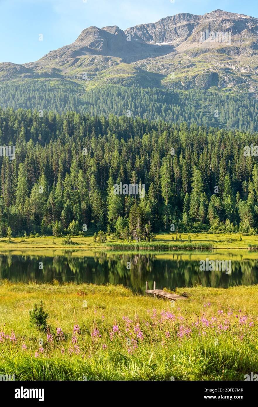 Spring landscape at Lej da Staz (Lake Staz) , Engadine, Grisons, Switzerland Stock Photo