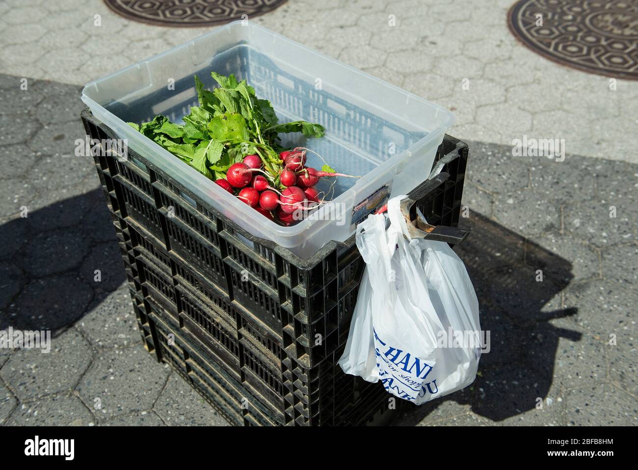 An example of “no contact” shopping at Union Square Farmers Market. The food stand worker placed the produce in the bin for the purchaser to pick up. Stock Photo