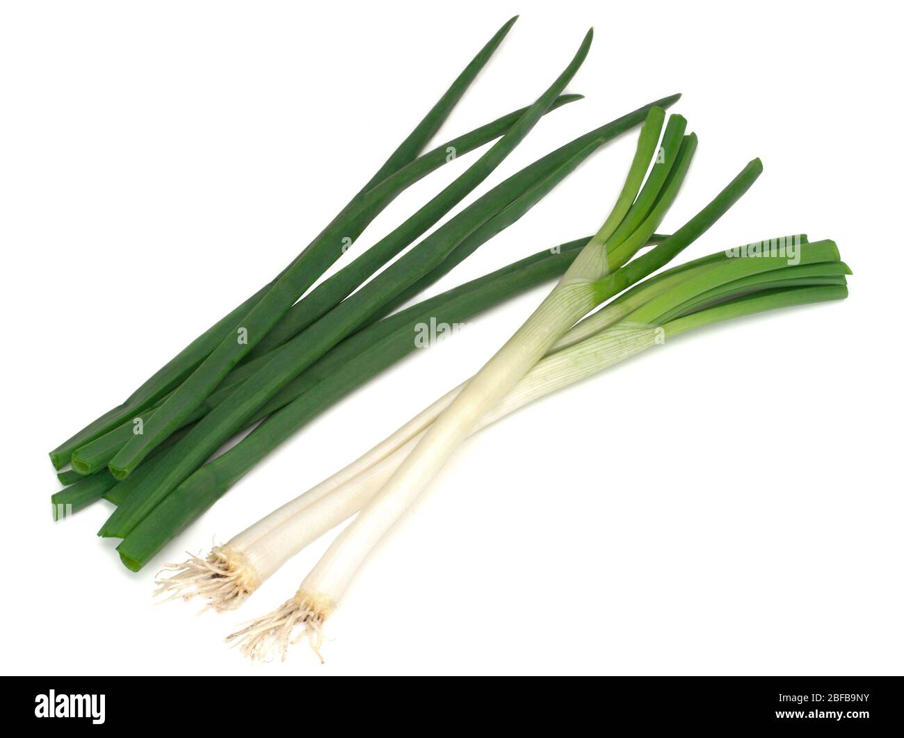 green onions isolated on white background Stock Photo - Alamy