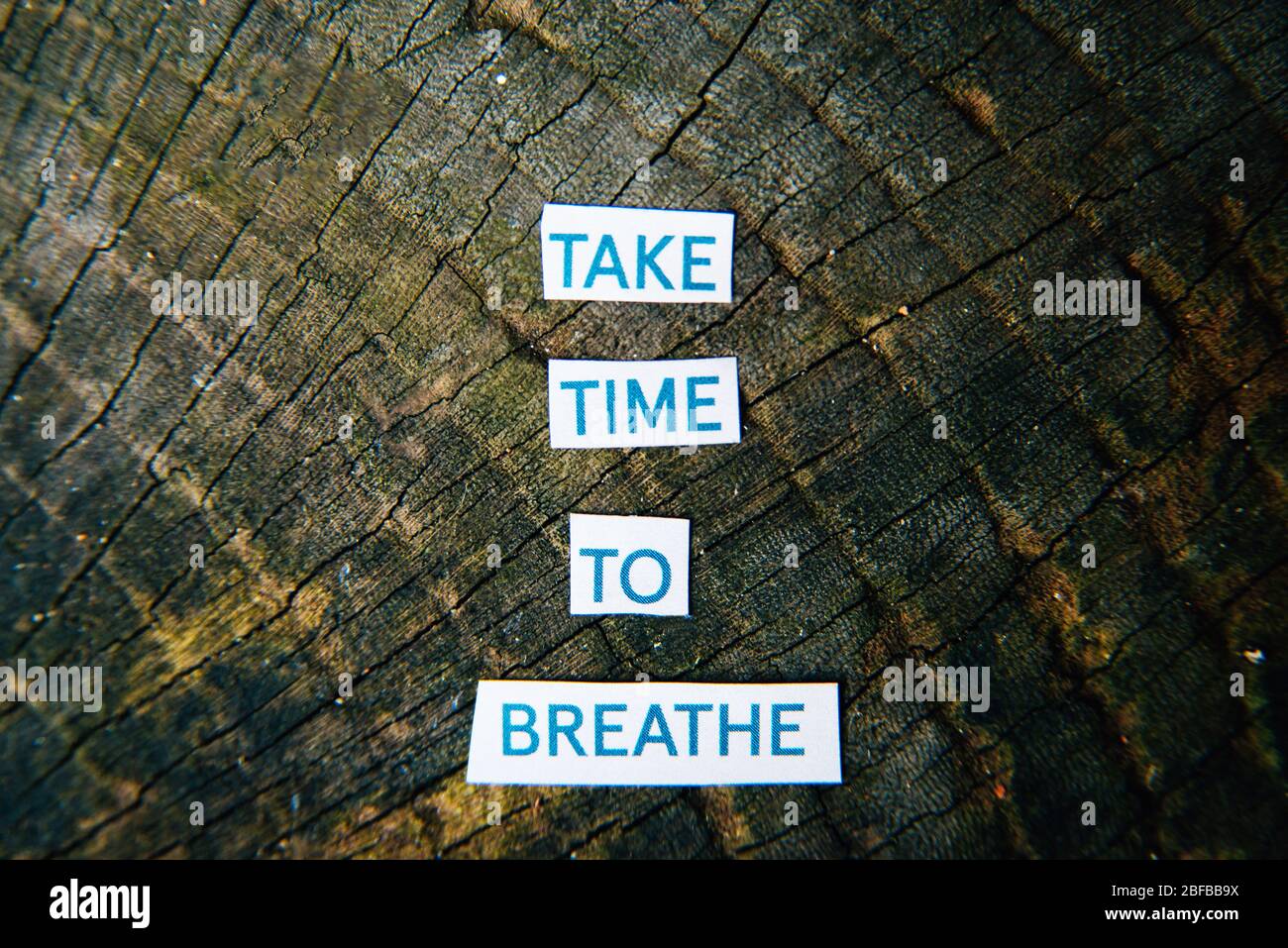Close up of words take time to breathe on wooden background. Coronavirus lockdown anxiety mental heath quote. Relaxation, yoga meditation Stock Photo
