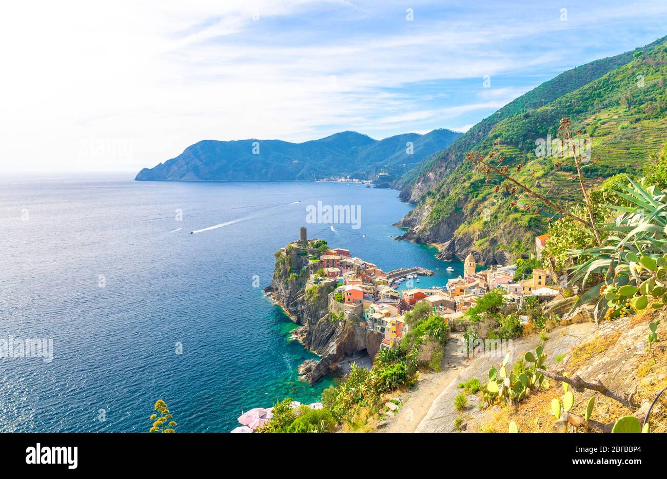 Top aerial view of Vernazza typical village with colorful buildings