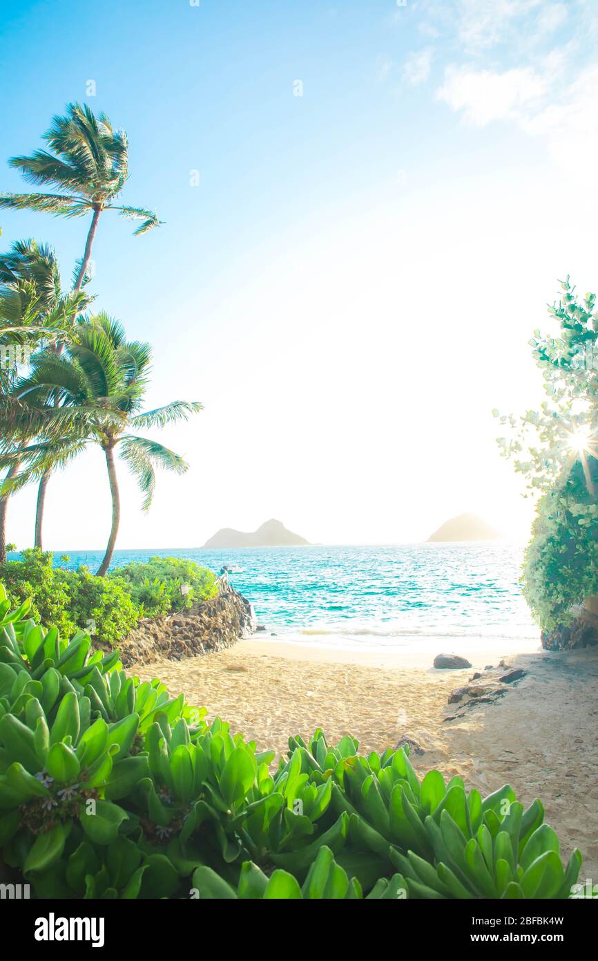 Relaxing beach in Hawaii with palm trees and islands Stock Photo - Alamy
