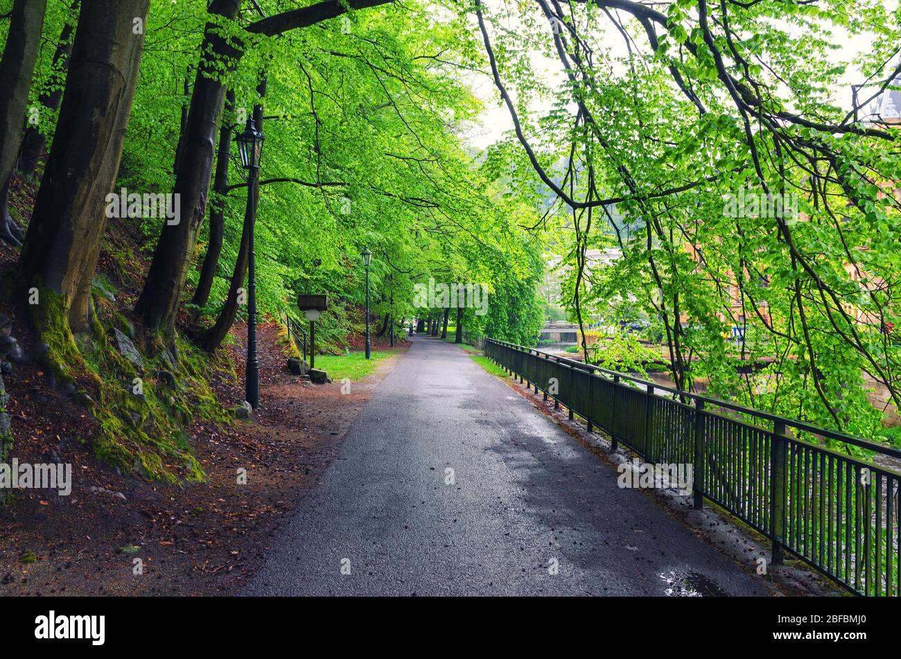 Embankment promenade of Tepla river with alley of trees and street lights in Karlovy Vary (Carlsbad) historical city centre, West Bohemia, Czech Repub Stock Photo