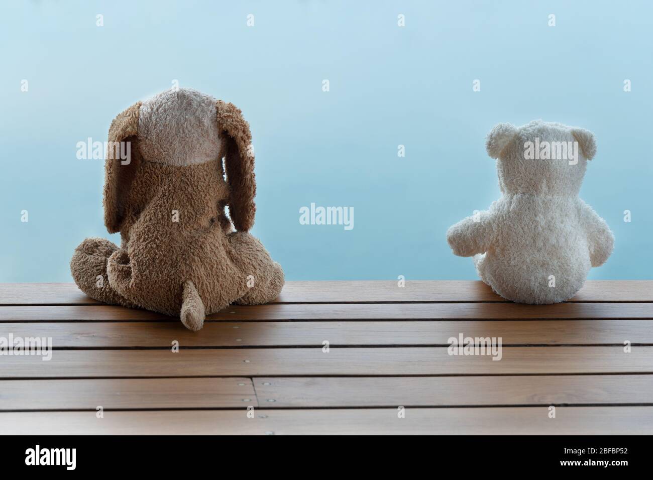 two fluffy brown dog and white bear doll sitting on wood terrace with blue nature water in social distancing concept Stock Photo