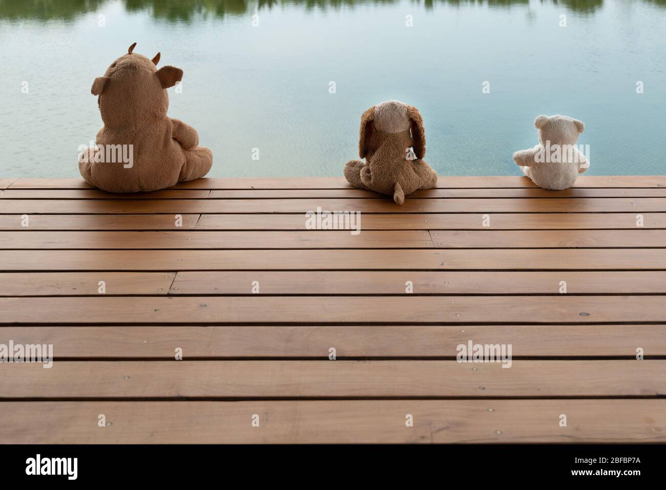 three fluffy small brown rhino dog and white bear doll sitting on wood terrace with blue nature water in social distancing concept Stock Photo