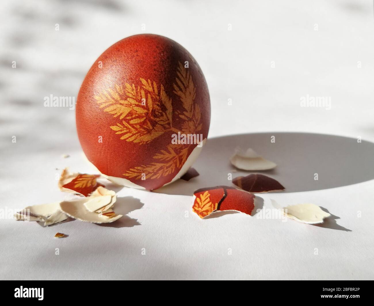 Broken eggshell painted Easter egg isolated on the white background Stock Photo