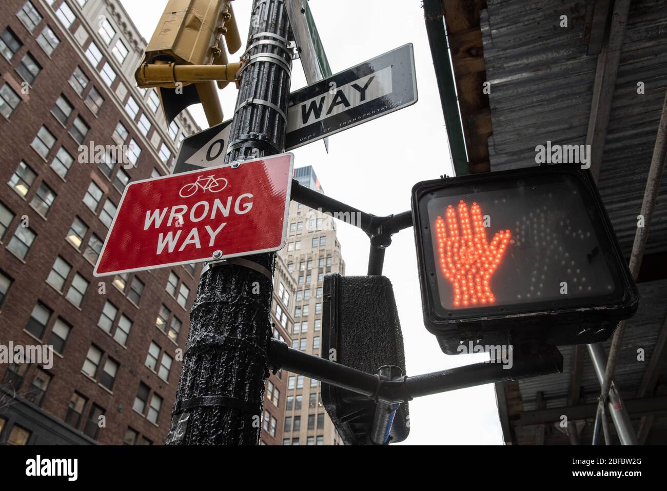 Street signs with Wrong Way, Bicycle Route, One Way and a red stop sign hand in an urban area. Stock Photo