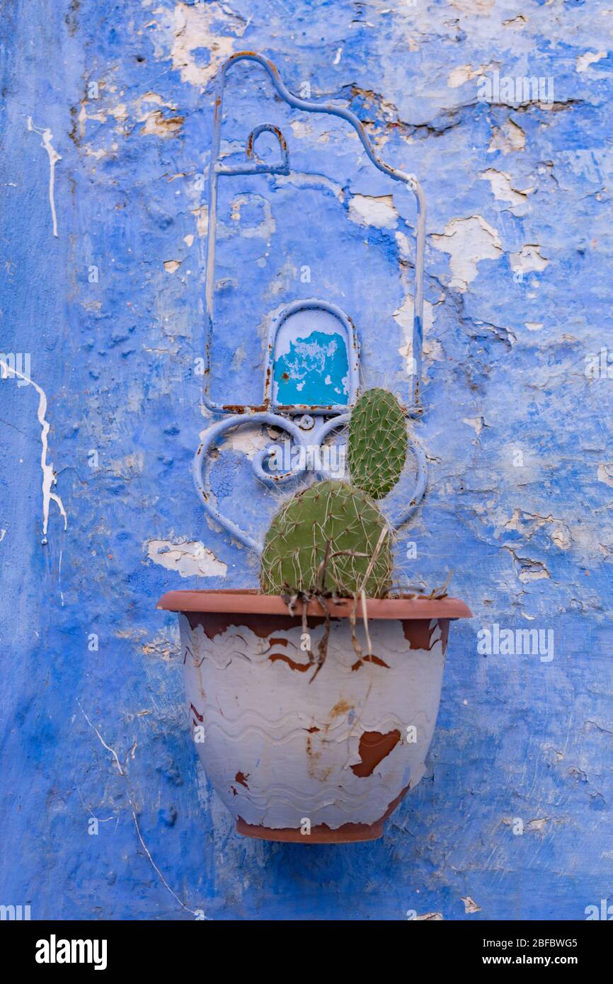 Planters stone wall hires stock photography and images Alamy