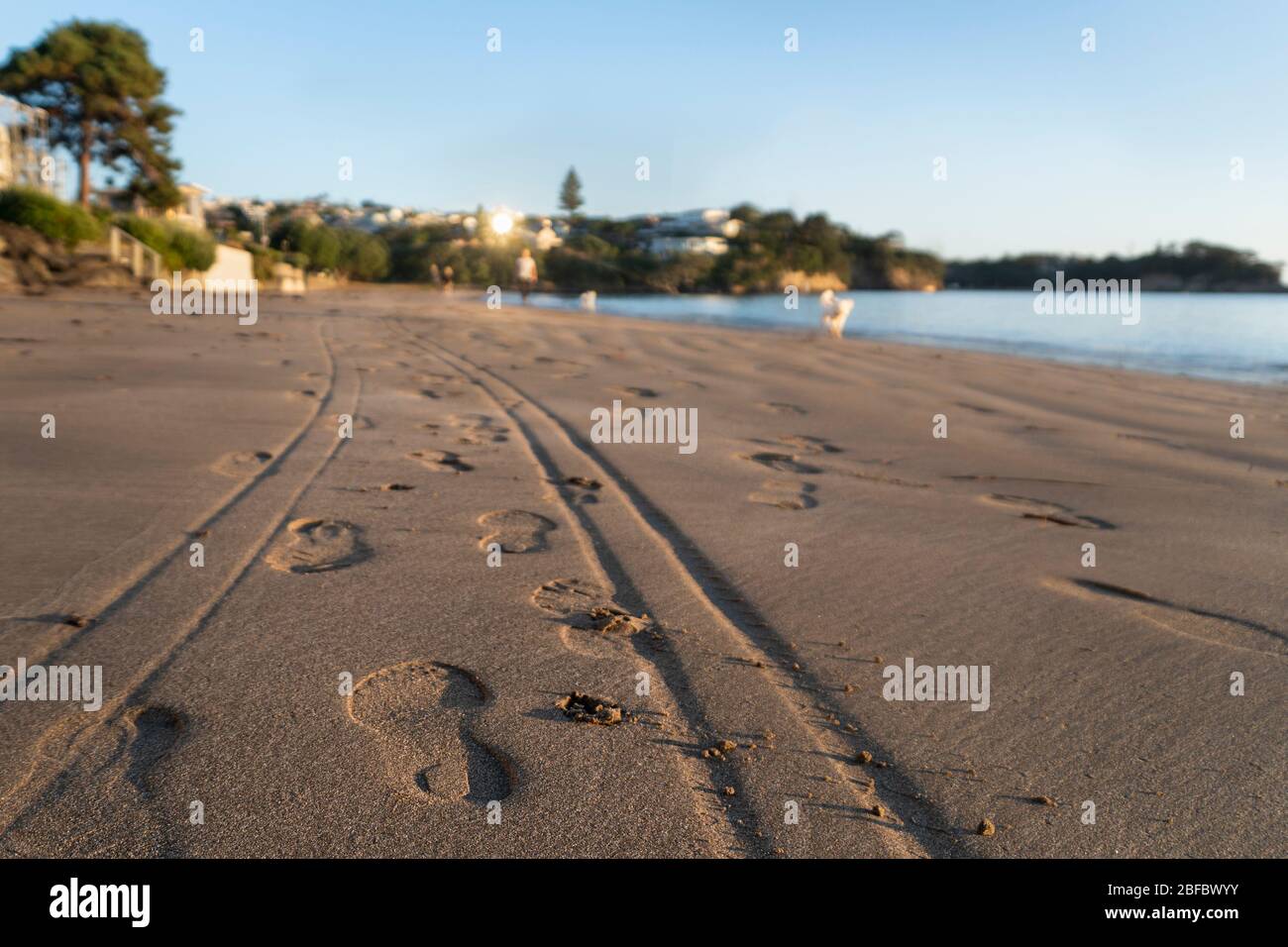 Footprints and wheel marks on the beach at sunrise Stock Photo