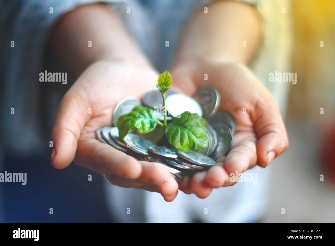 Growing Money | Business Growing. Man Holding Coin | Plant On Coins |  Finance And Investment | Profit and income Stock Photo