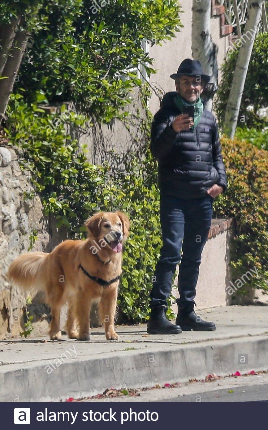 dog from ray donovan