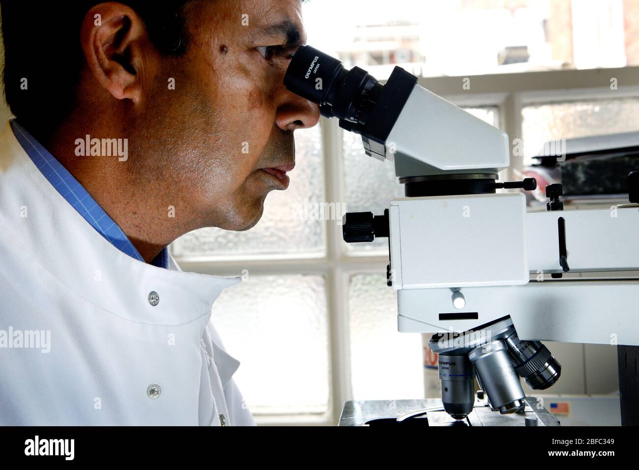 Pathologist analysing a sample under a microscope Stock Photo Alamy