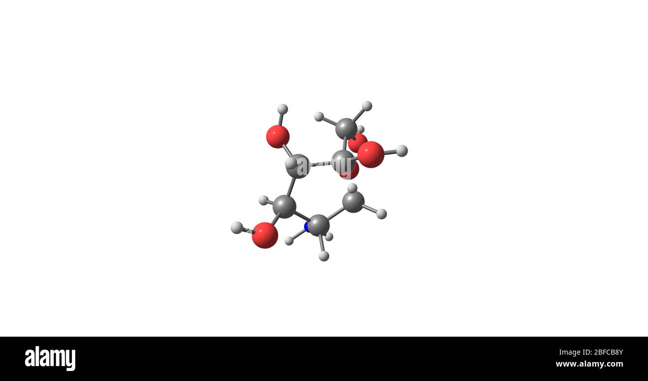 Glucosamine is an amino sugar and a prominent precursor in the