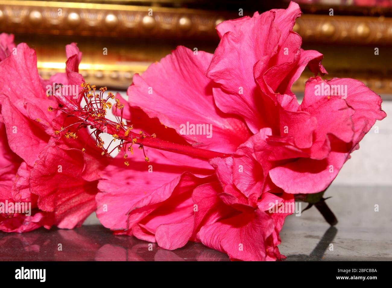Beautiful decoration with aromatic herbs, hibiscus and Chrysanthemum