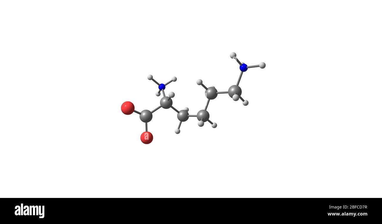Lysine is an essential amino acid, lysine is a base, as are arginine