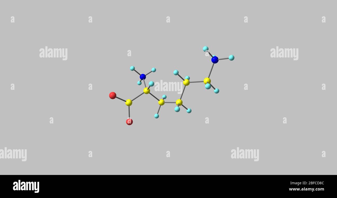 Lysine is an essential amino acid, lysine is a base, as are arginine