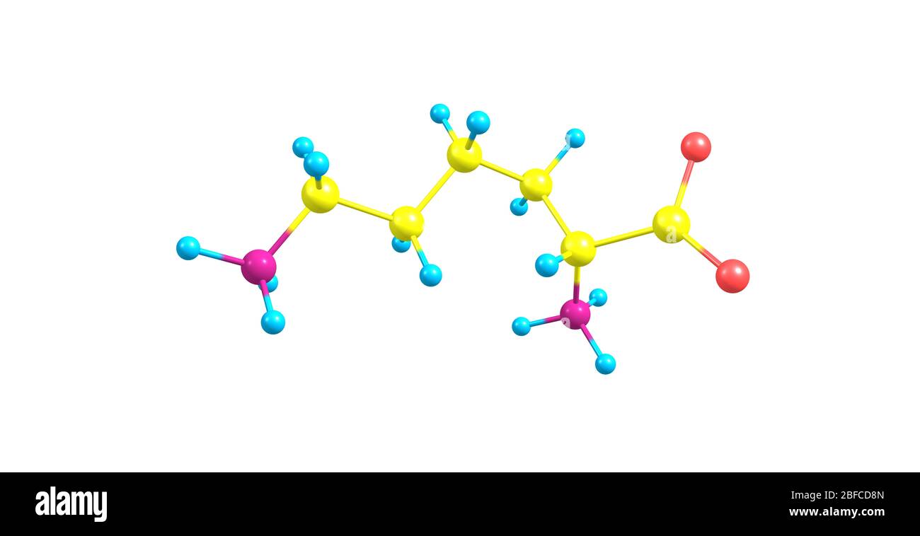 Lysine is an essential amino acid, lysine is a base, as are arginine and histidine Stock Photo