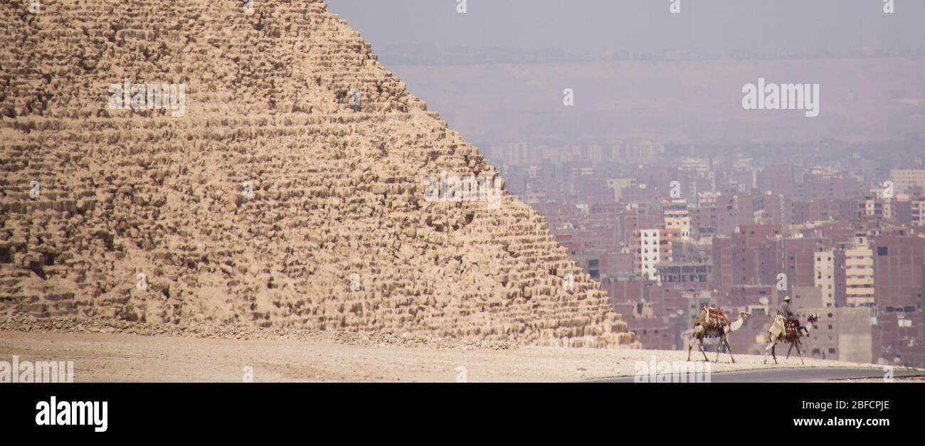 A camel rider in the desert passes in front of the Pyramid of Khafre at ...
