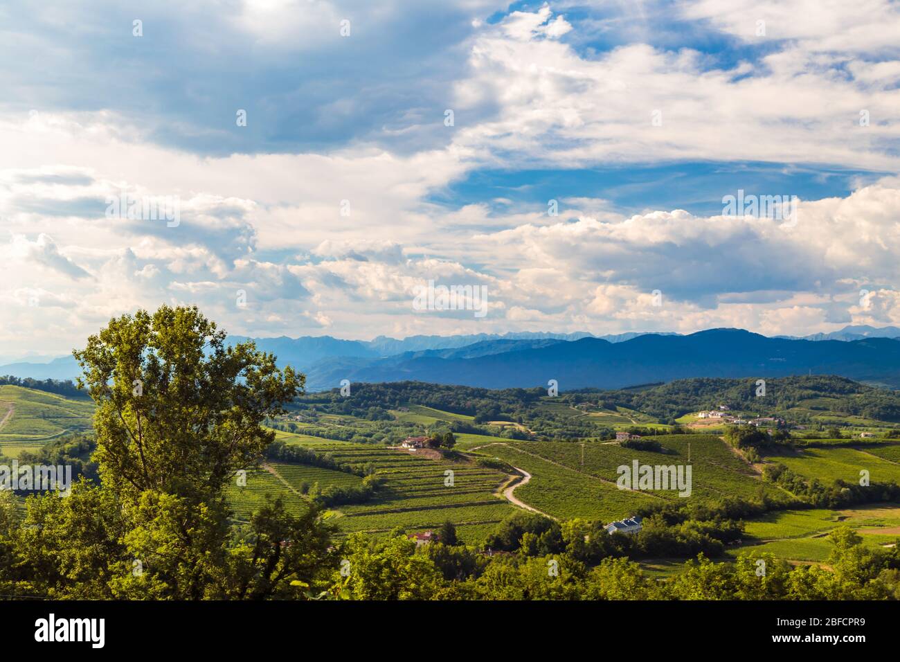 Slovenia italian border vineyard hi-res stock photography and images ...