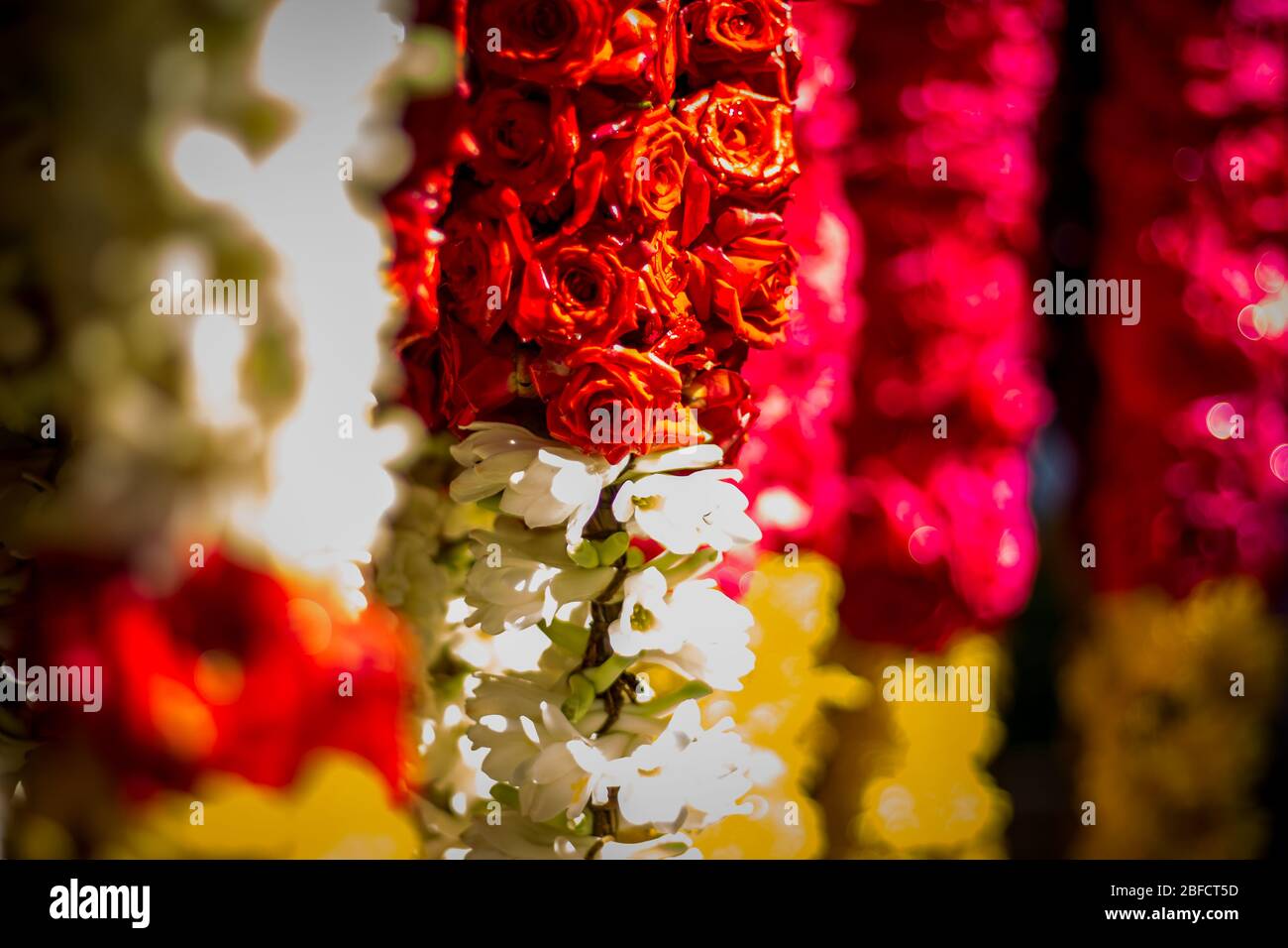 Marigold flowers garlands on indian hi-res stock photography and images ...