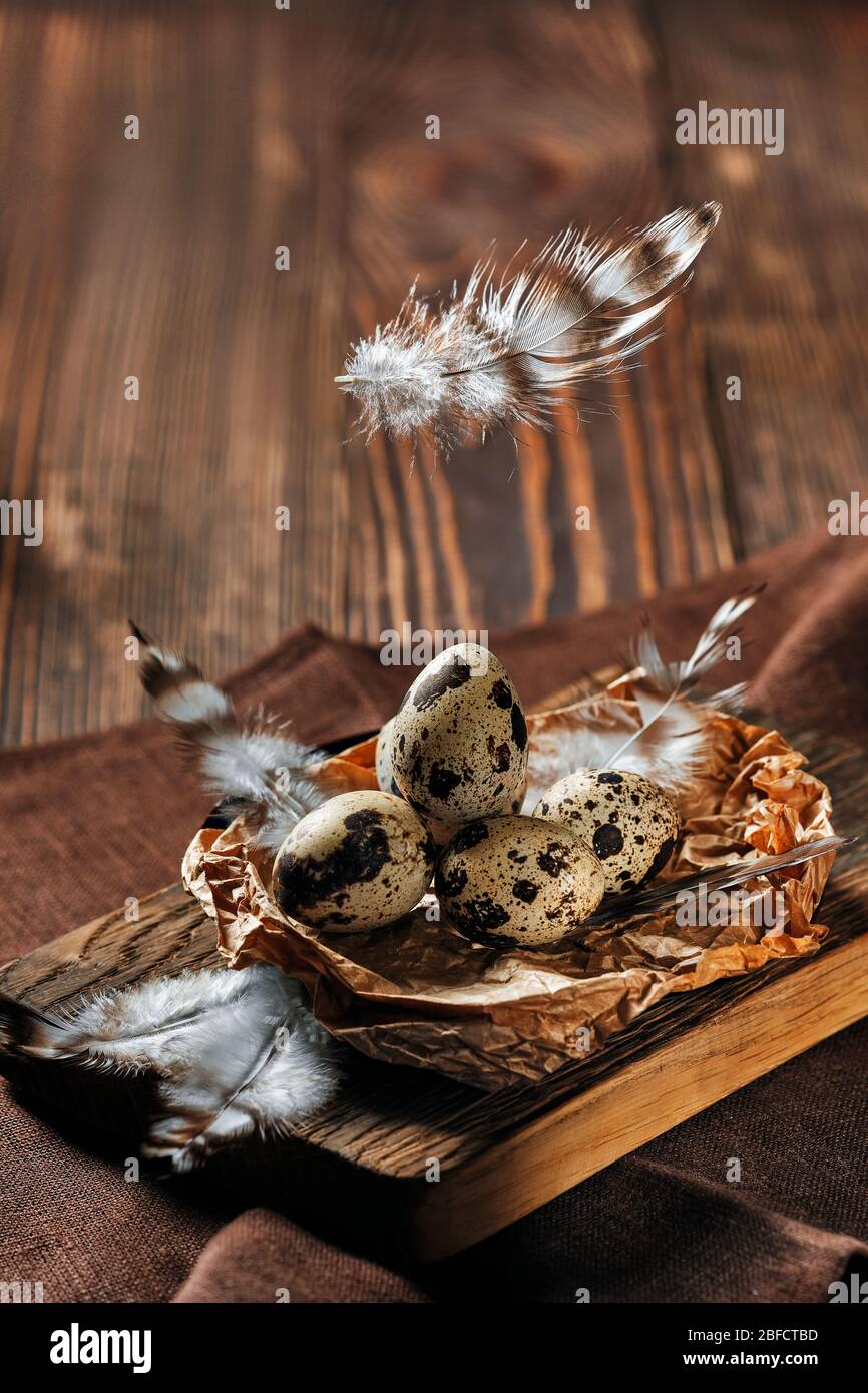 Feathers falling on a bowl with quail eggs Stock Photo