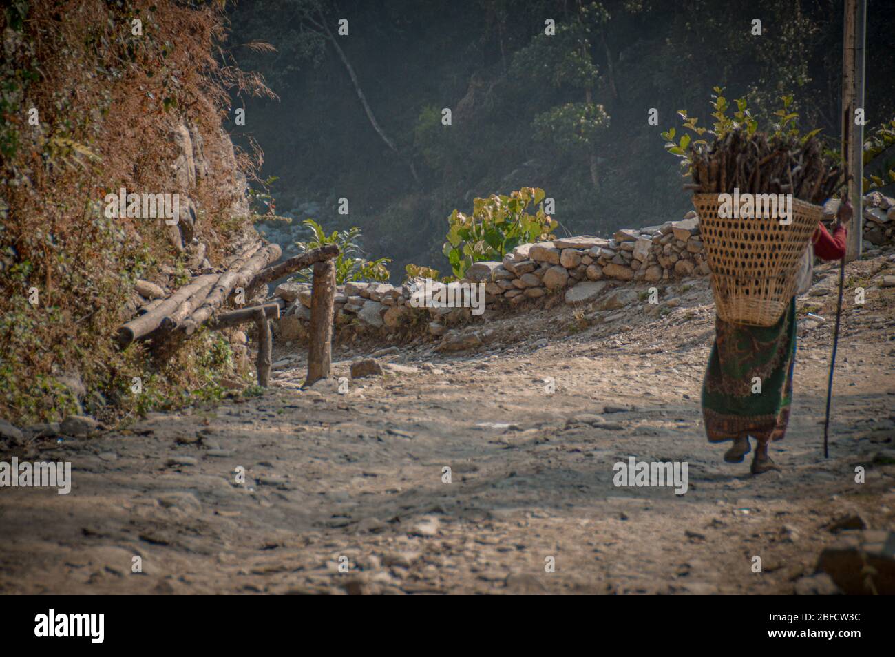 Rear view of a Nepalese woman carrying firewood on her back, shows the real life, local culture and tradition in the mountain village of Pokhara, Nepa Stock Photo