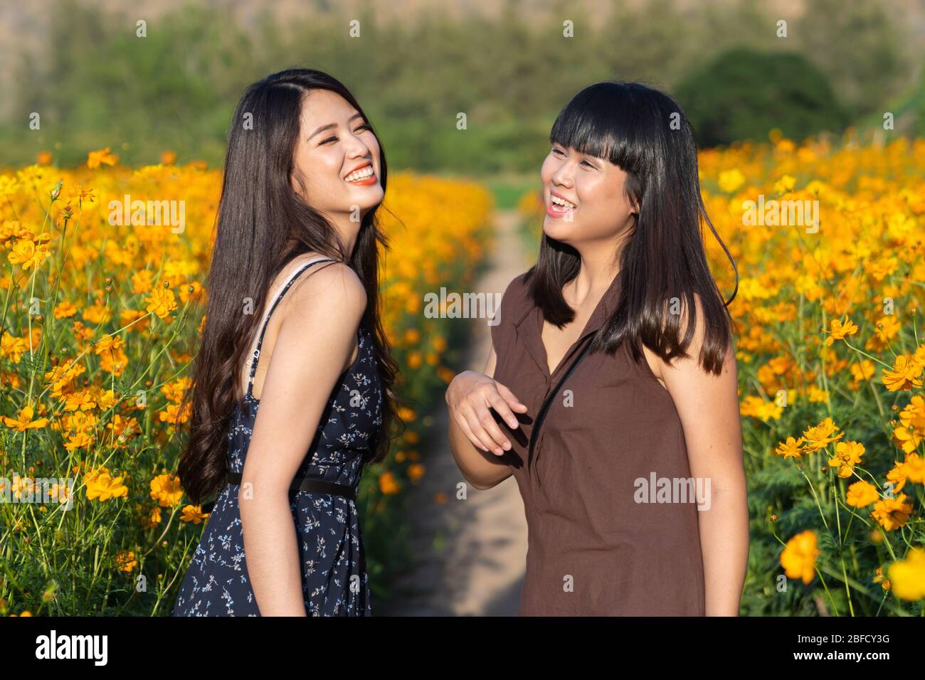 Cheerful multiracial Asian cute two sister woman joyful, smiling with yellow cosmos background. Happy carefree summer beautiful girls in yellow cosmos Stock Photo