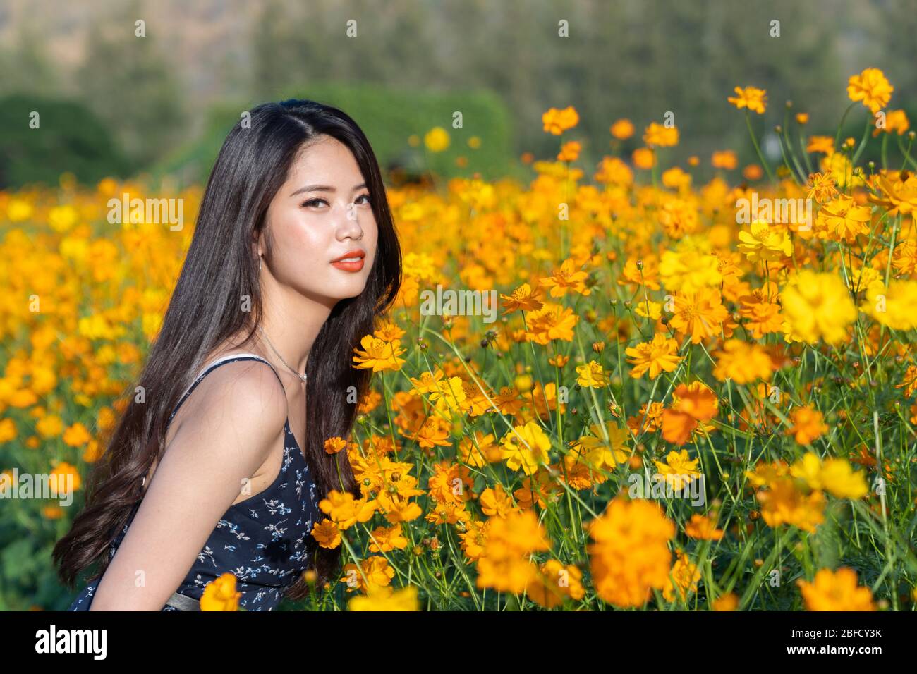 Cheerful multiracial Asian cute young woman joyful, smiling with yellow cosmos background. Happy carefree summer beautiful girl in yellow cosmos field Stock Photo