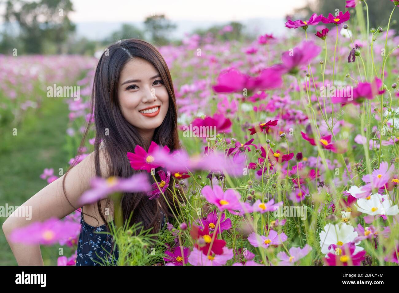 Cheerful multiracial Asian cute young woman joyful, smiling with pink cosmos background. Happy carefree summer beautiful girl in pink cosmos field in Stock Photo