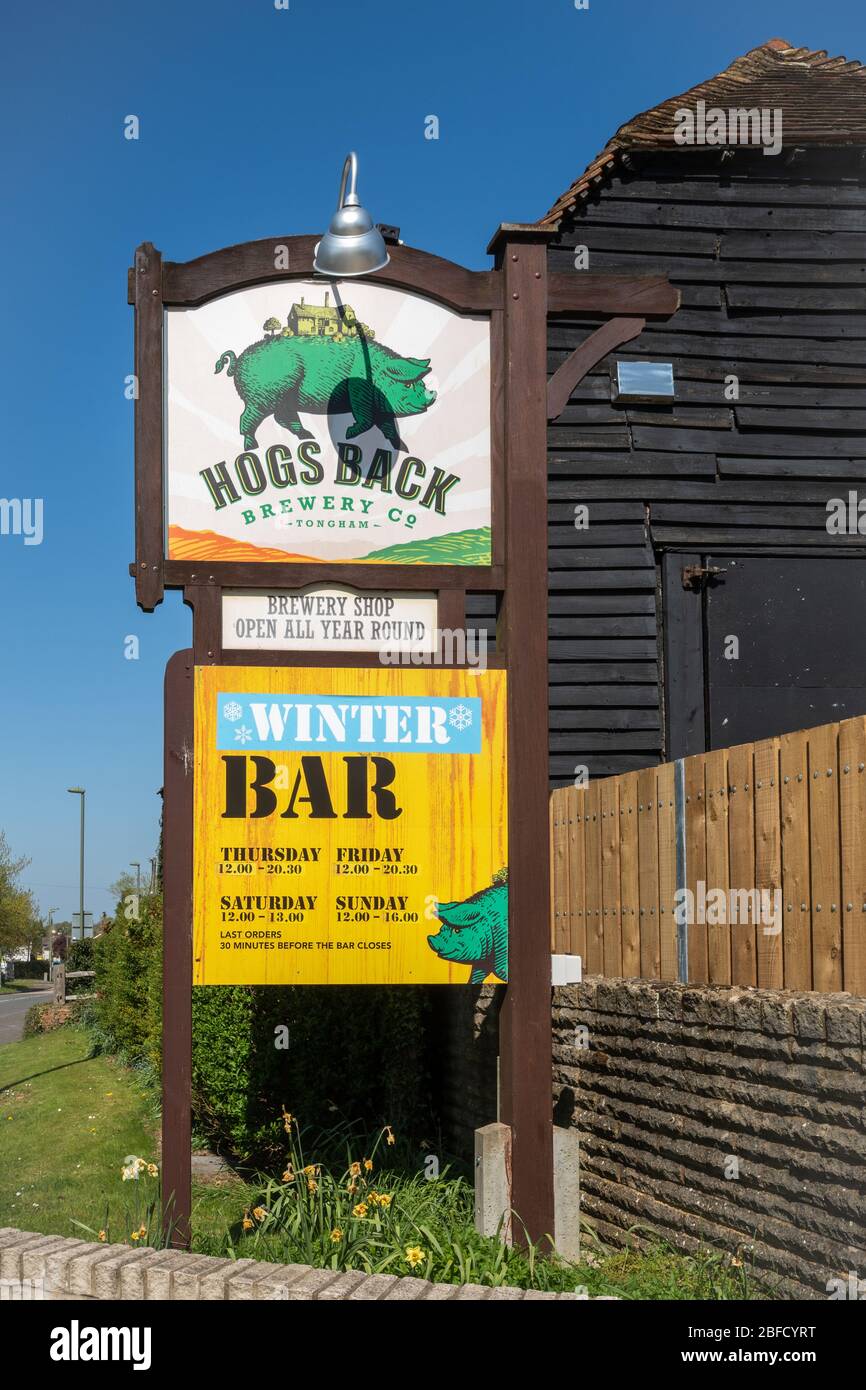 Hog's Back Brewery, a family owned brewer of english ales and beers, in Surrey, England, UK Stock Photo