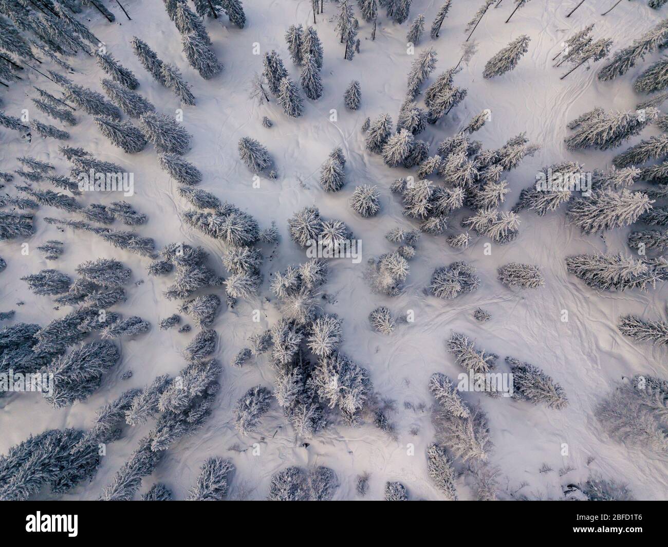 Birds eye view salzburg hi-res stock photography and images - Alamy