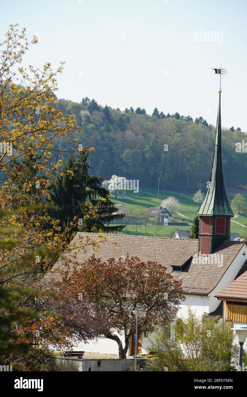 Old reformed church building with copper and tile cladding roof in Urdorf, Switzerland among trees, lateral view with village shield on the top. Stock Photo