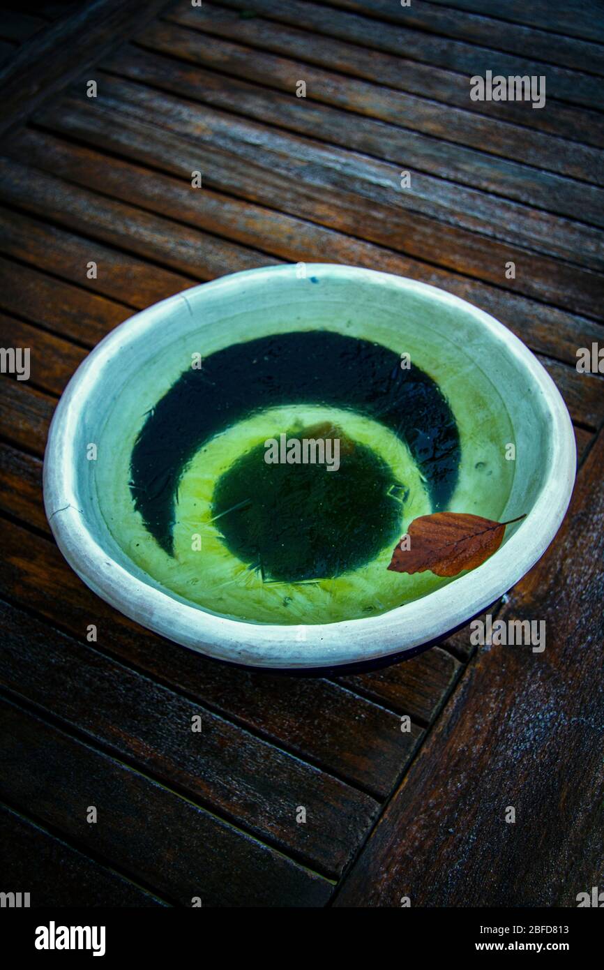 Pottery bowl, frozen water and a leaf Stock Photo