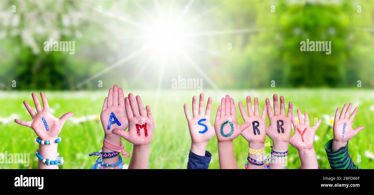 Children Hands Building Word I Am Sorry, Grass Meadow Stock Photo
