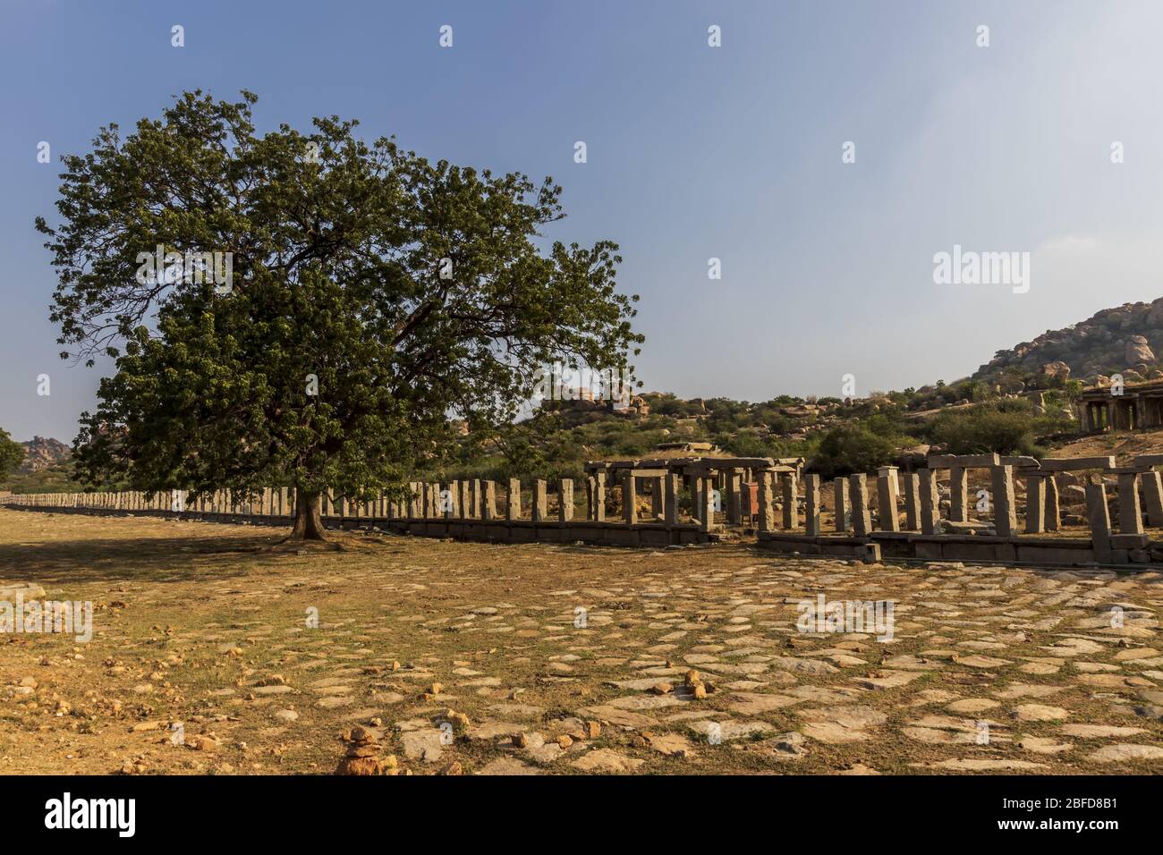 Ancient civilization in Hampi. India, State Karnataka. Old Hindu temples and ruins. Tree on foreground. Stock Photo