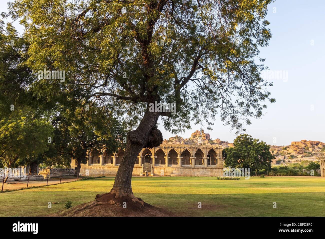 Ancient civilization in Hampi. India, State Karnataka. Old Hindu temples and ruins. Tree on foreground. Stock Photo