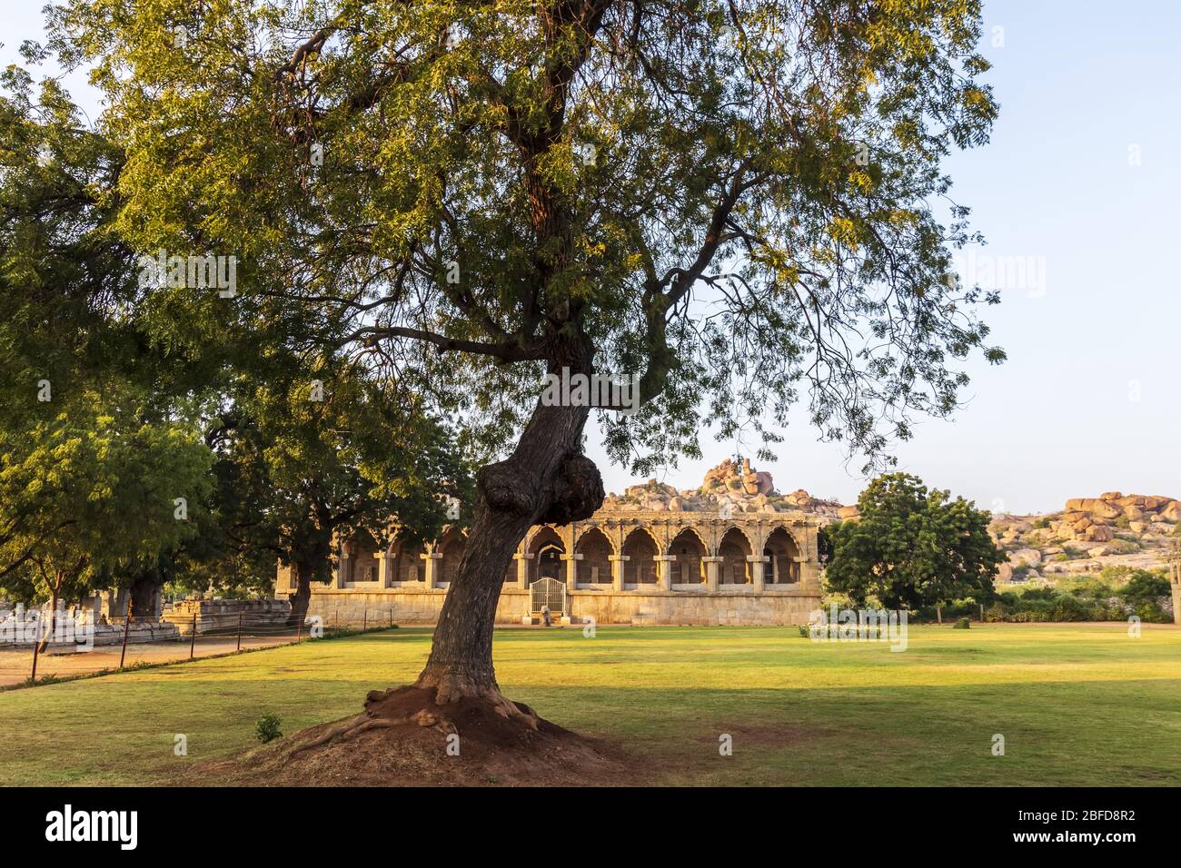 Ancient civilization in Hampi. India, State Karnataka. Old Hindu temples and ruins. Tree on foreground. Stock Photo